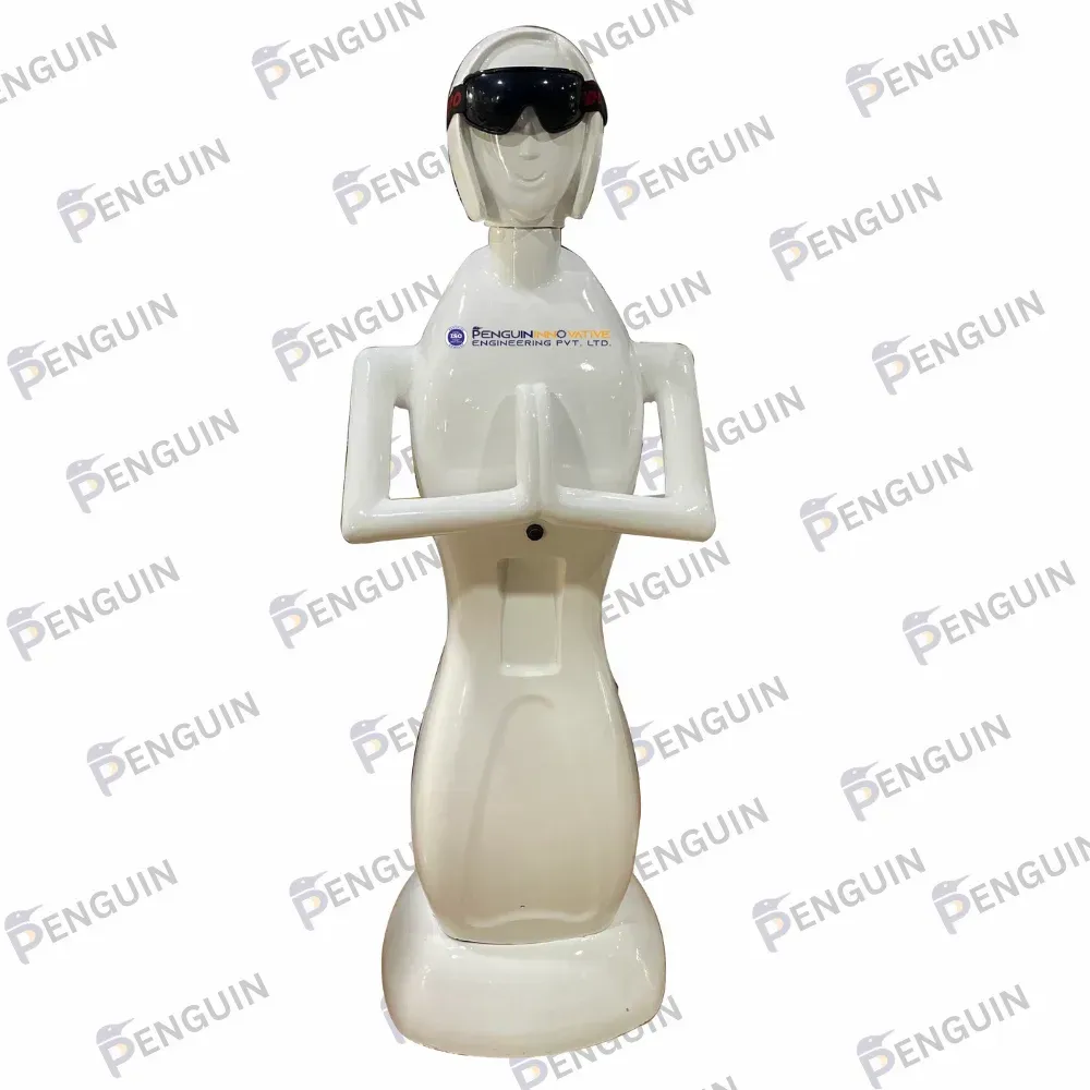 40Kg Display Robot