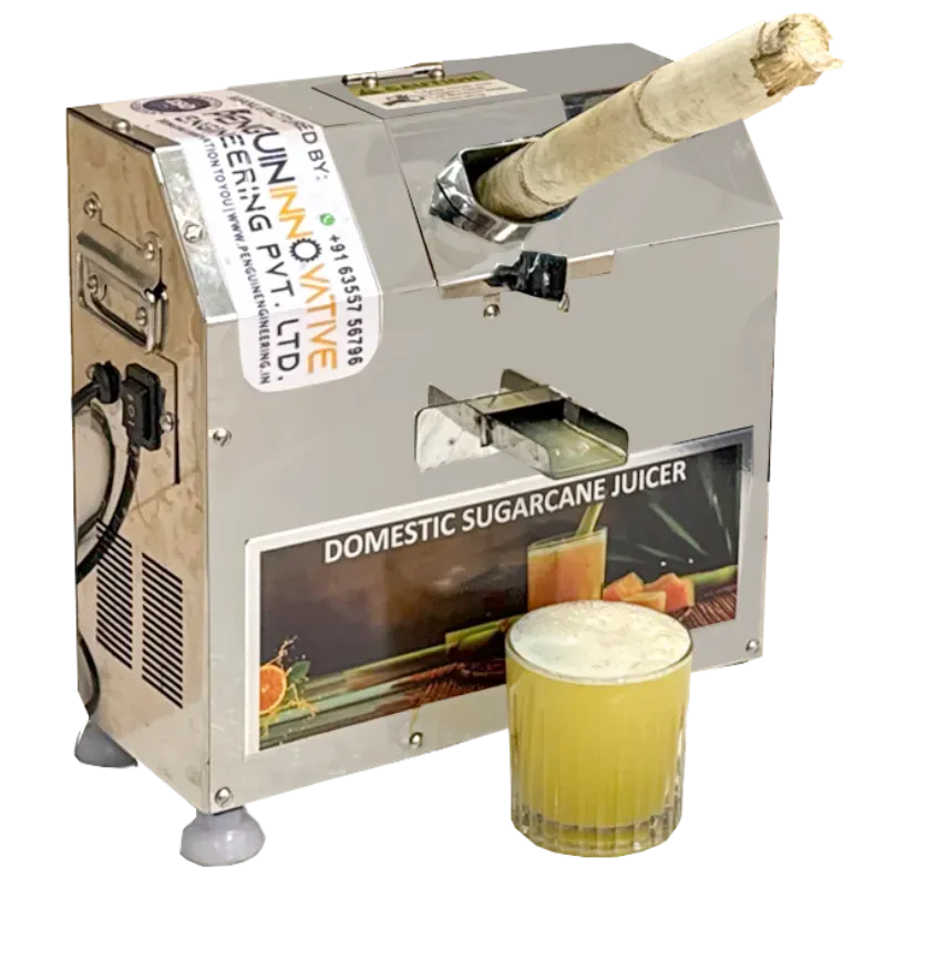 domestic sugarcane juicer