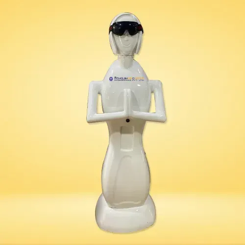 welcome greeting robot
